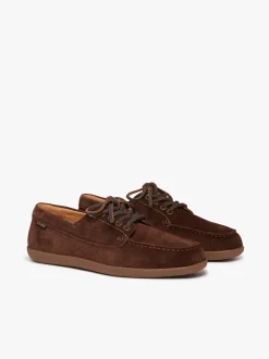 Wilton Driver 4-Eye Lace up Dark brown